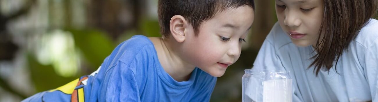 best pediatric dentist in Woodcliff Lakes