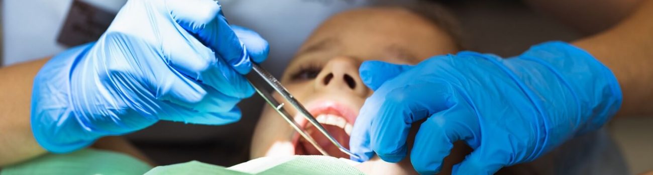 imgpsh fullsize anim